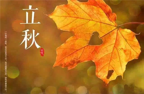 卡莉和收割者最新版角色与收割者同屏展示