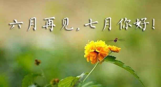 华硕PCE-N15网卡驱动程序