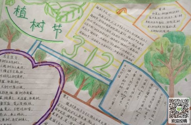 小学写字通字软件免费下载