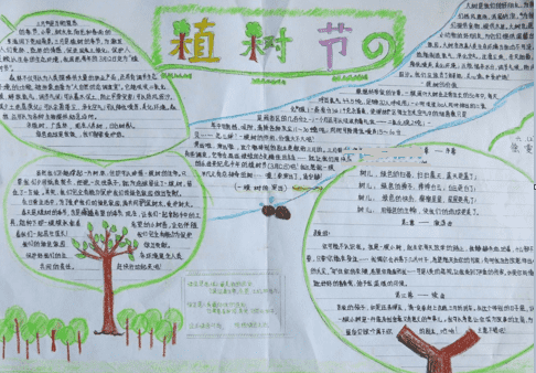 沸点网络电视直播