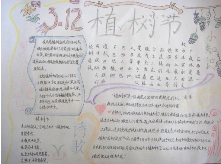 贵州药材APP