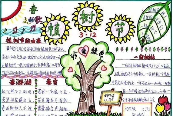 山东泰山app