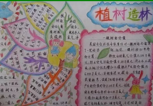 速盈体育网页版2025最新版内政管理界面