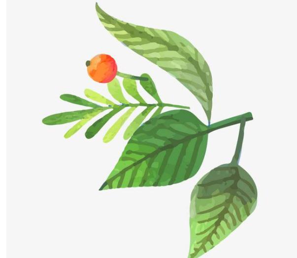 小熊洗车APP