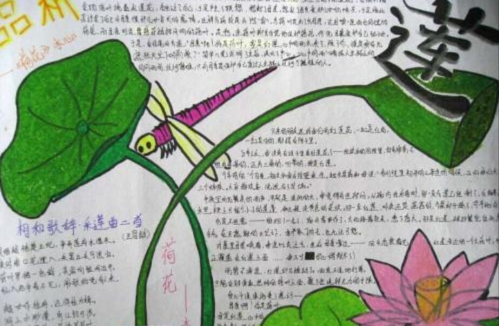 网站通路检测工具