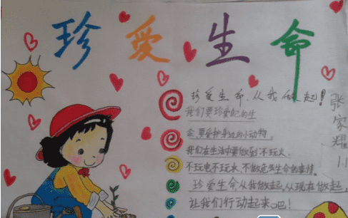 行动派旅行网(旅行伴侣)