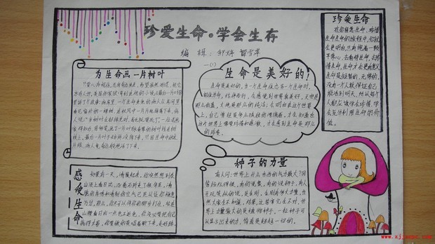 pg电子平台appV8.2专业版