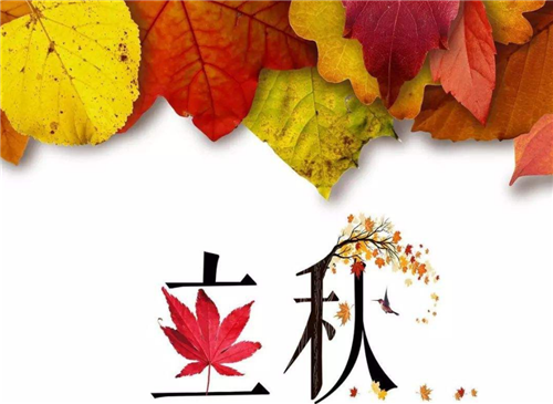 河南汽车维修平台APP