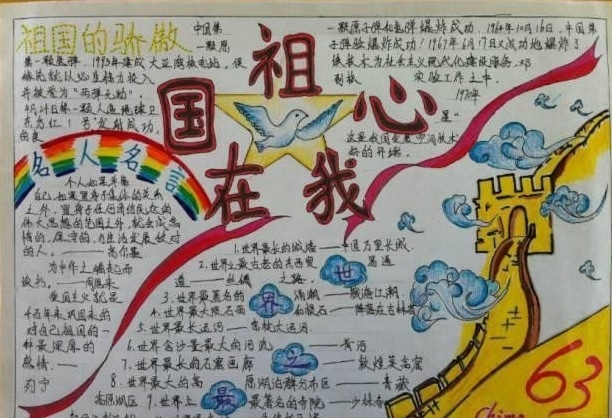 2016金山卫士