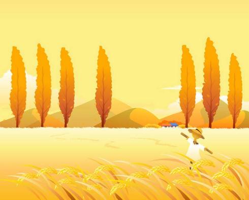 彩959app 2025版 职业技能展示