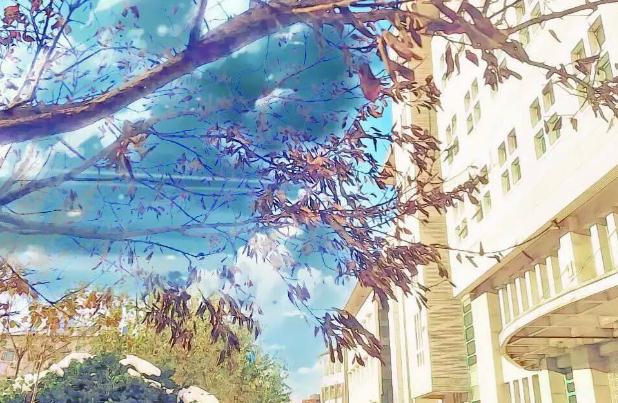 英雄联盟竞猜app安卓版二维码