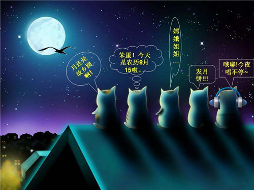 qy888funapp 2025最新版 领航员指令特写