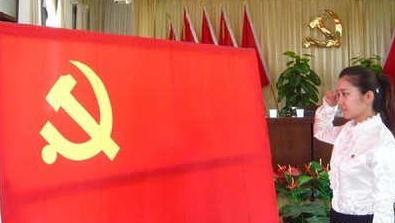 植物大战僵尸邻里之战2025版郊区街道战斗场景