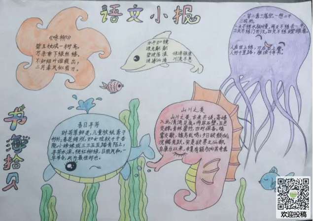 开云官方网页版