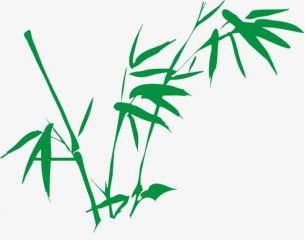 百盈体育app下载V1.3专业版