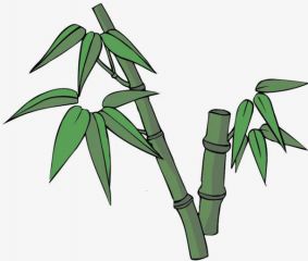 ym体育appV8.3专业版