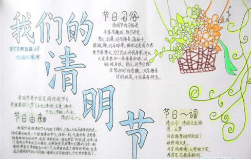 白菜网app