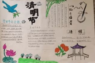 牛牛appV3.8专业版