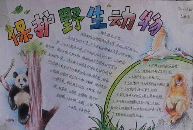 贵州药材APP