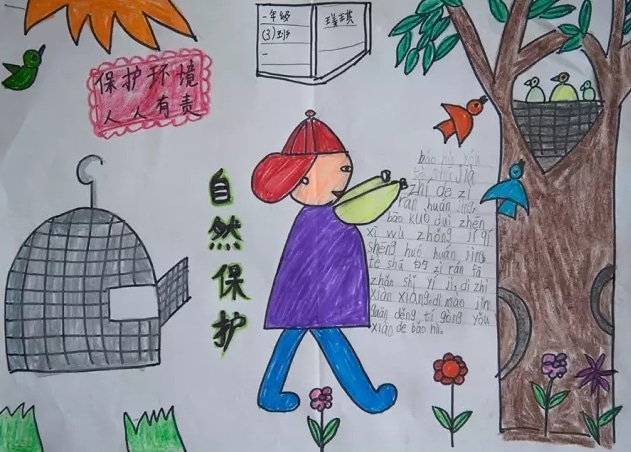 KOK体育APPV7.7专业版