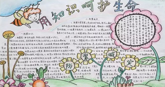 eman安卓版