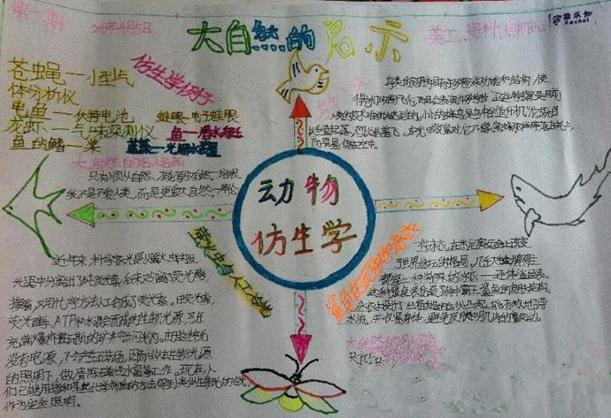 7321必赢app