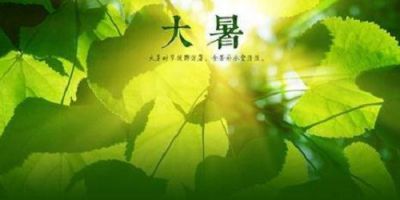 j9下载安卓版二维码