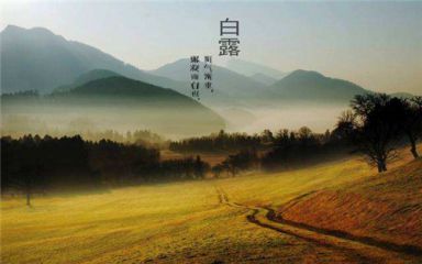 万中汇app