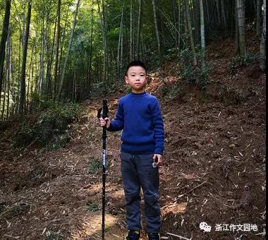 乐鱼体育app