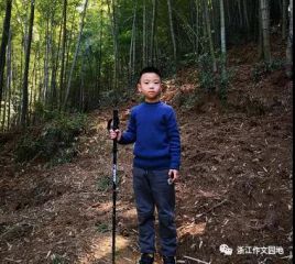 华安证券网上交易