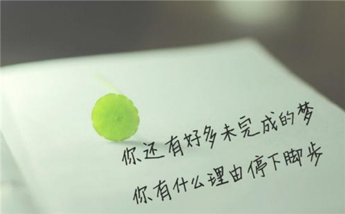 贵州药材APP