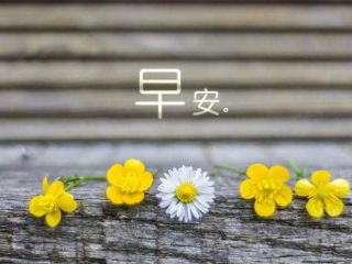 925直播app