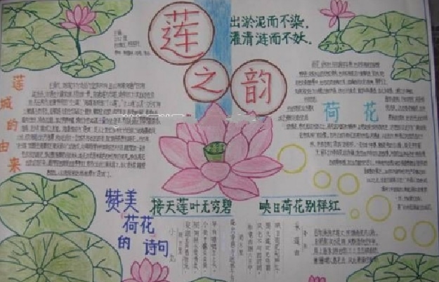 立即博app2025最新版职业战斗展示