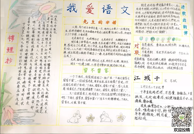 贵州药材APP