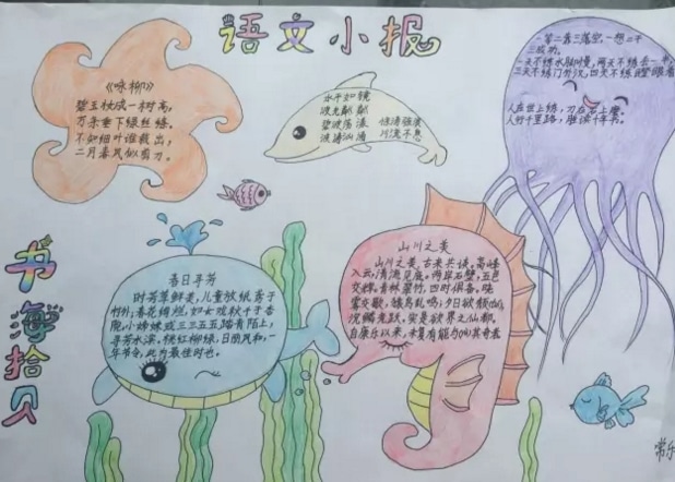 口袋天龙的堕落