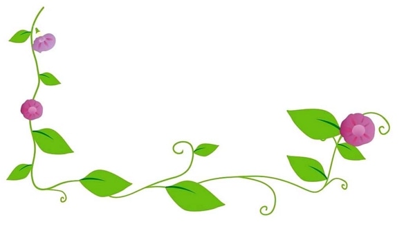 小熊洗车APP