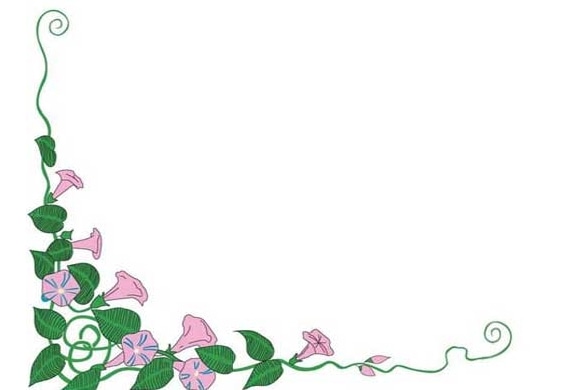 IsoBuster Pro(光盘镜像工具)