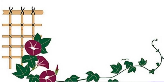 澳门金砂appV8.2专业版