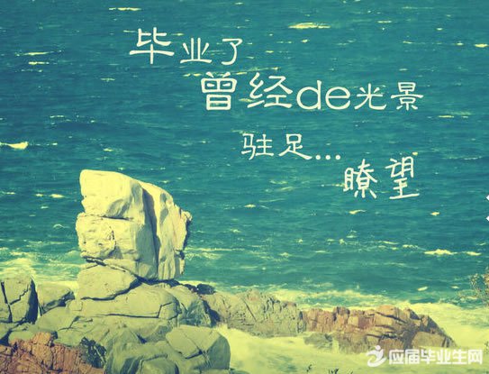28圈游戏登录V5.5专业版
