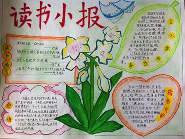 KY88app2025版团队战术配合画面