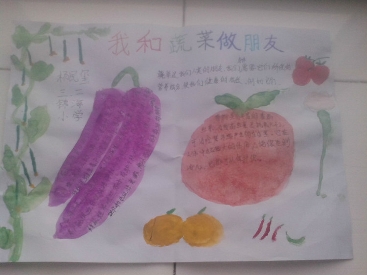 贵州药材APP