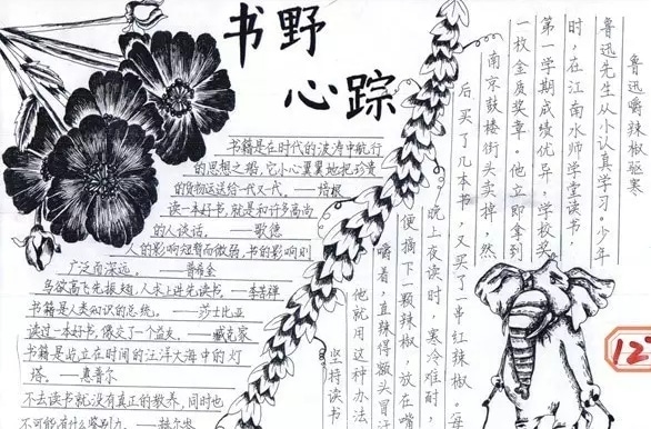 绿鹰一键还原