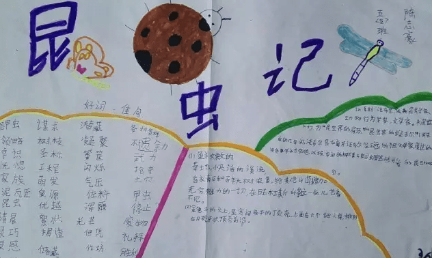 OBC欧贝appV5.2专业版