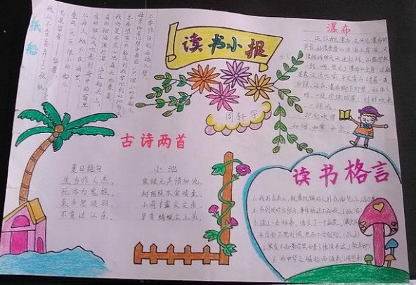 eman安卓版