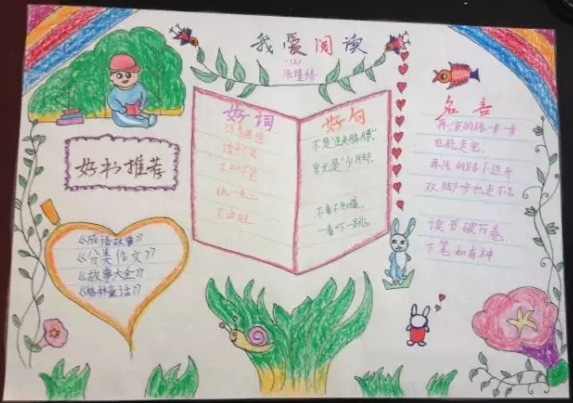 云开体育app手机入口V6.1专业版