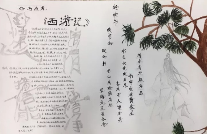 波胆入口