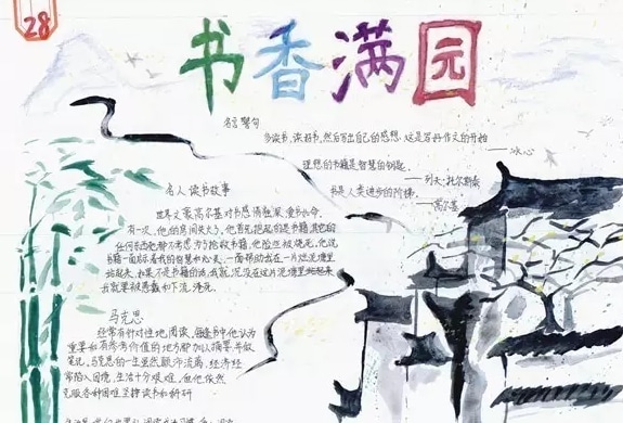 Aoa体育官网安卓版二维码