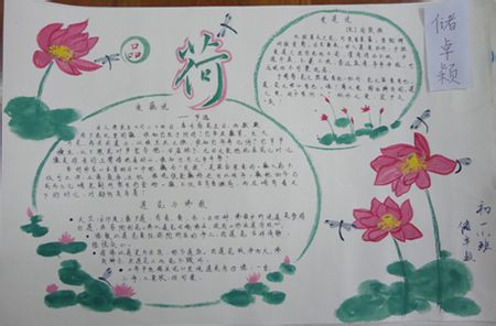 regbit工具转换器