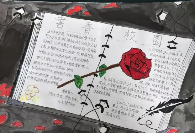 28体育appV8.2专业版