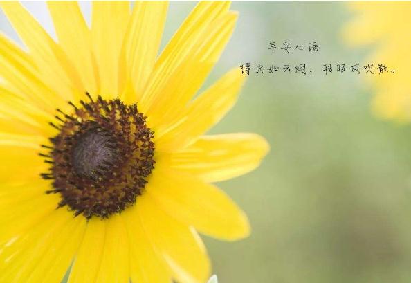 小熊洗车APP